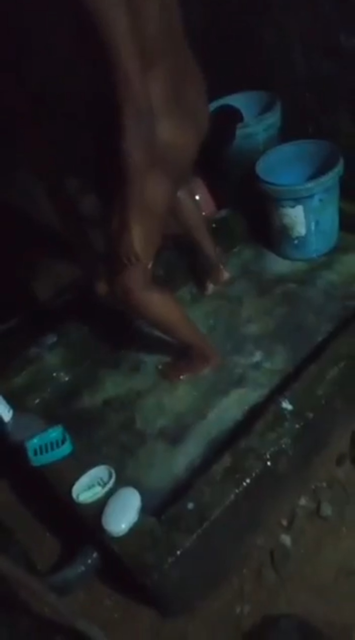 කෙල්ල නානගමන් කොල්ලට දෙන 🥵🍌💦